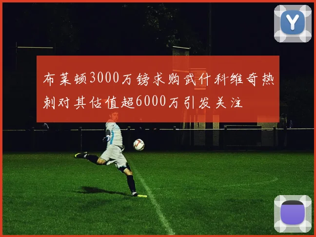布莱顿3000万镑求购武什科维奇热刺对其估值超6000万引发关注